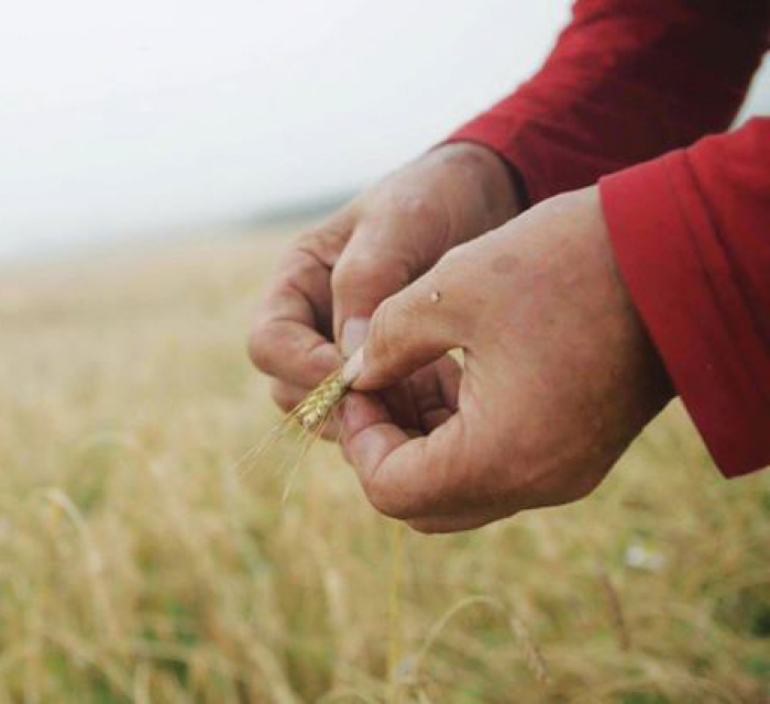 4E2408B659Dbb4B253857E8Cabf665D7 Rimg W720 H405 Gmir